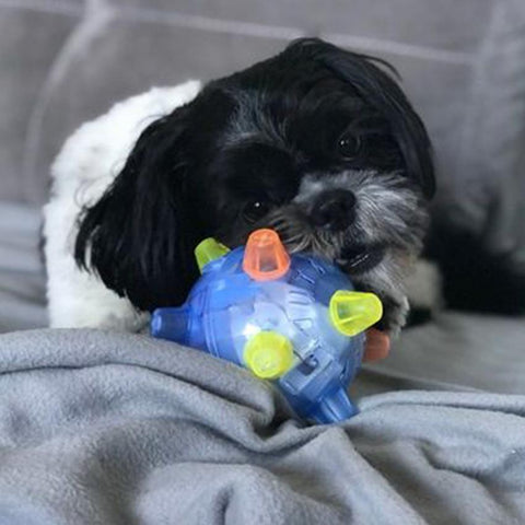 jumping activation ball for dogs