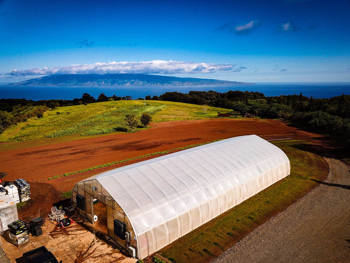 Hua Momona Farms Microgreens