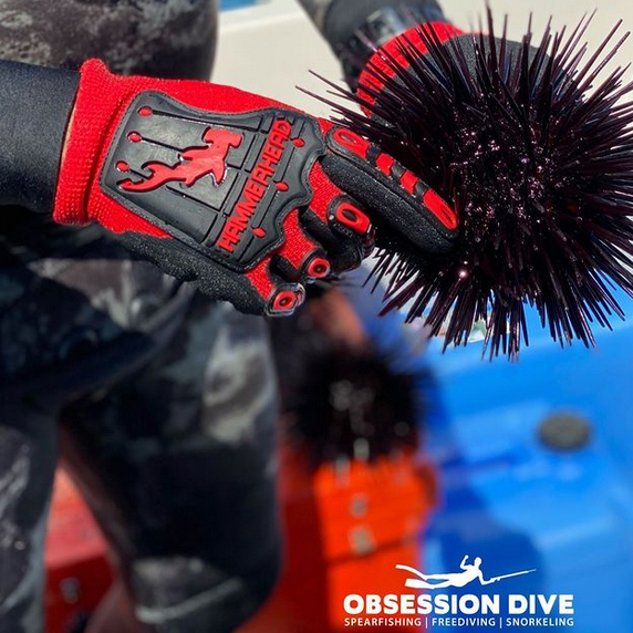 HAMMERHEAD Dyneema Gloves – Obsession Dive
