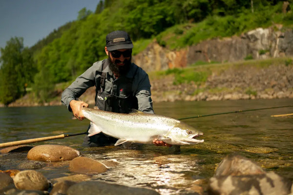 Catching big salmon on the fly