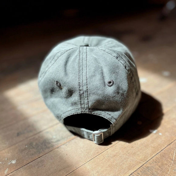 Salmon Dad Hat