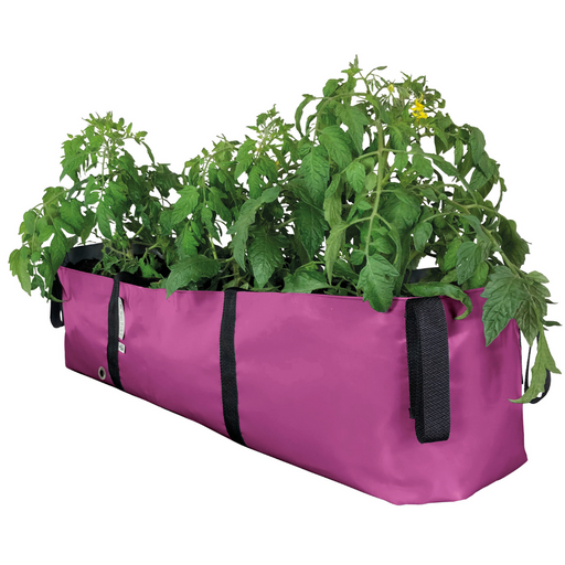 https://cdn.shopify.com/s/files/1/0269/2707/products/BloomingWallsCanadaTheGreenBlockPlantBag-Large-Pink_512x512.png?v=1612760558