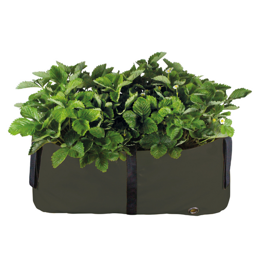 https://cdn.shopify.com/s/files/1/0269/2707/products/BloomingWallsCanadaTheGreenBlockPlantBag-Medium-OliveGreen_512x512.png?v=1612761608