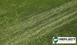 An image of green artificial turf destroyed by the suns reflection off of windows.