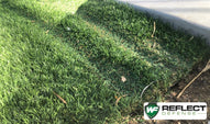 Artificial grass on a front lawn burned by reflections of house windows