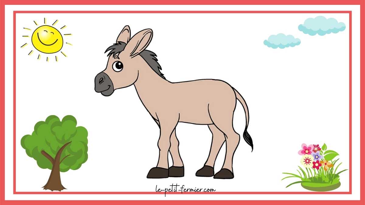 Comment dessiner un âne facilement Étape 10 : Le coloriage du gentil petit âne 🎨