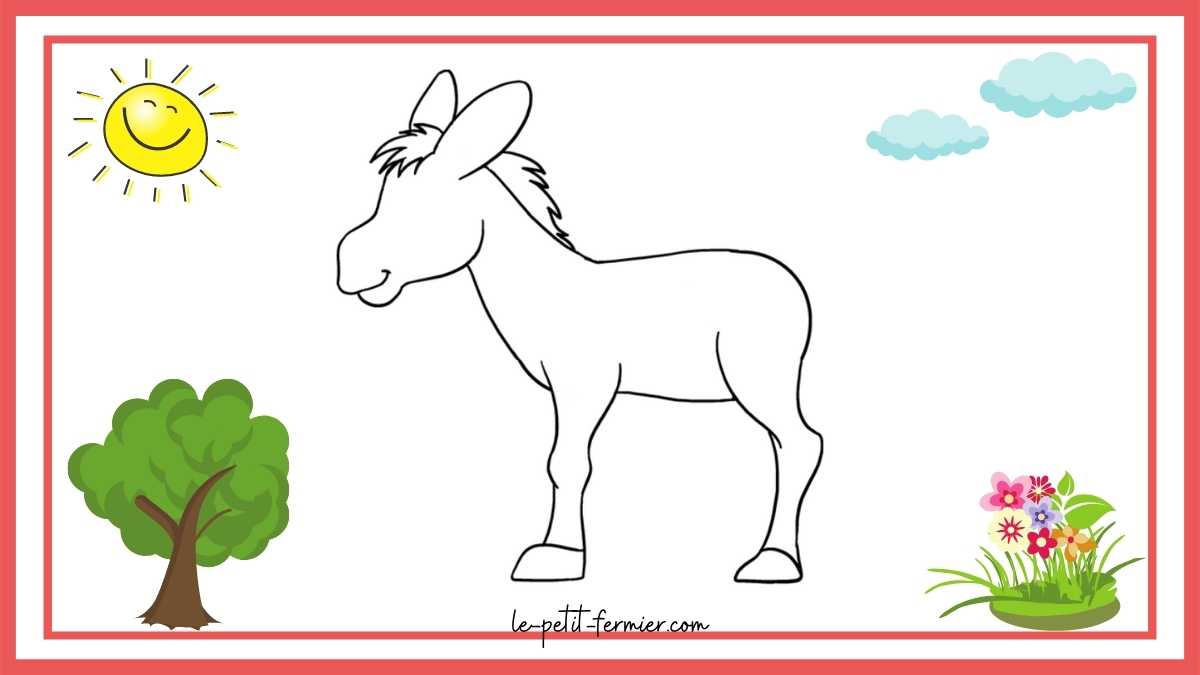 Comment dessiner un âne facilement Étape 6 : La suppression des ronds