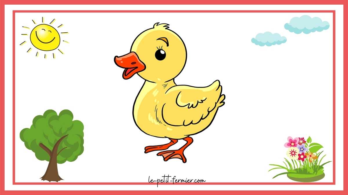 Comment dessiner un canard facilement ? Étape 10 : Comment colorier le bébé canard ? 🎨