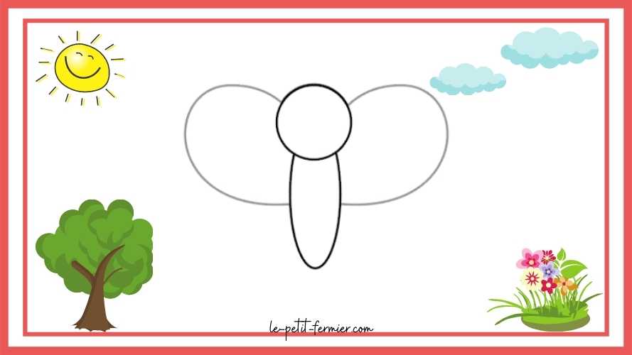 Comment dessiner un papillon facilement Étape 3 : Les grandes ailes du papillon 