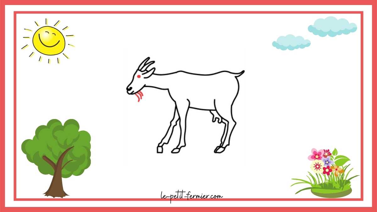 Comment dessiner une chèvre étape 9 quelques détails