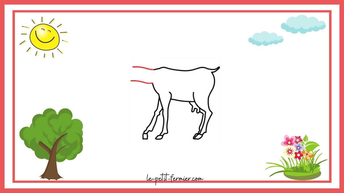 Comment dessiner une chèvre facilement étape 7 le long cou de la chèvre