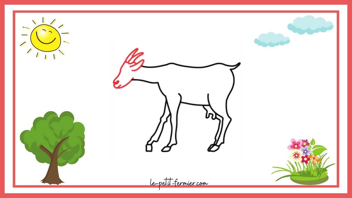 Comment dessiner une chèvre facilement étape 8 la tête de la chèvre