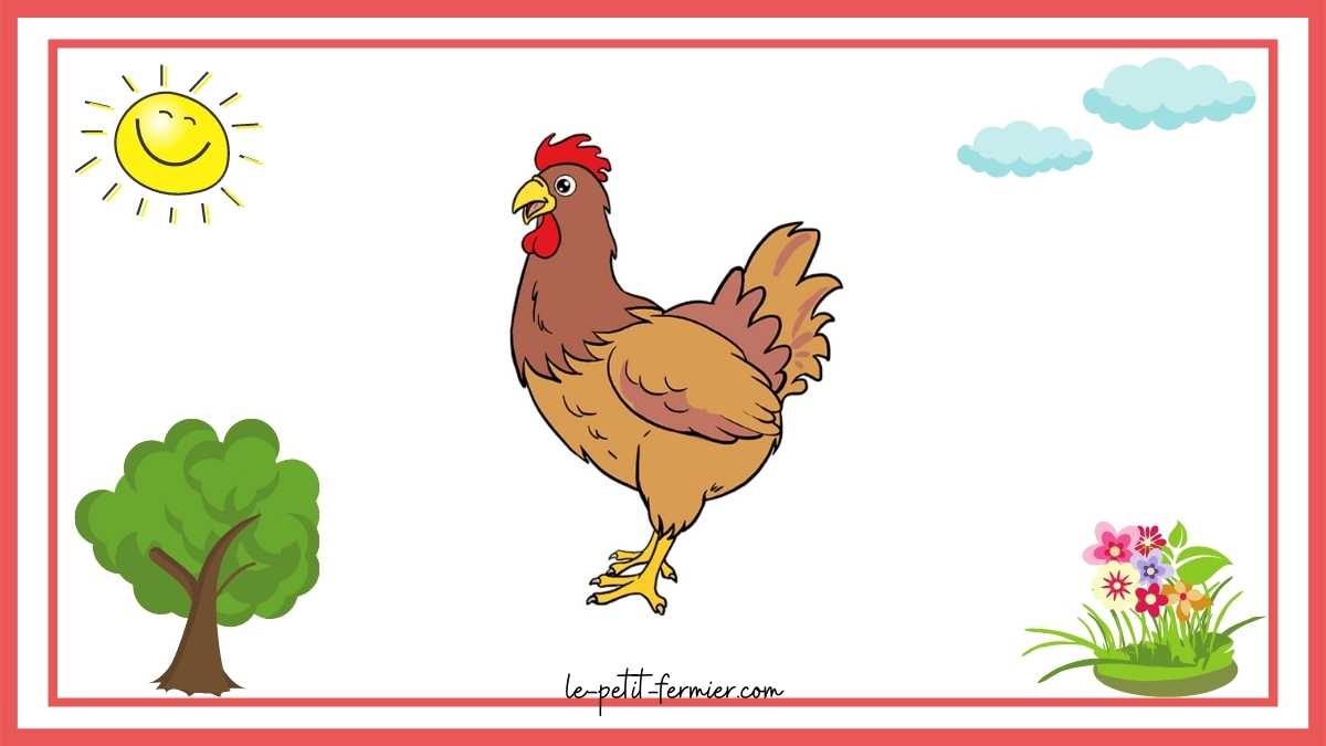 Comment dessiner une poule facilement étape 11 les plumes colorées de votre poule 