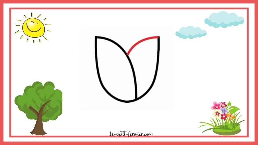 Comment dessiner une tulipe facilement