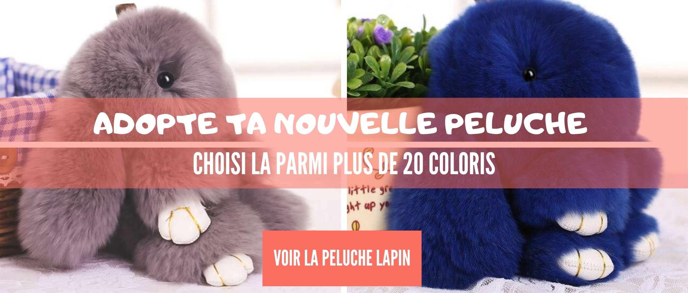 Qu'est-ce que le lapin tête de lion ?