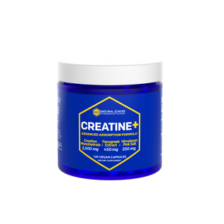 Creatine_Front_f7b3900c-7752-4373-8fae-8c4ef0ca96cb.png__PID:152ff291-6f23-43cd-b754-d3226732c8cf