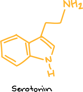 Serotonin chemical formula