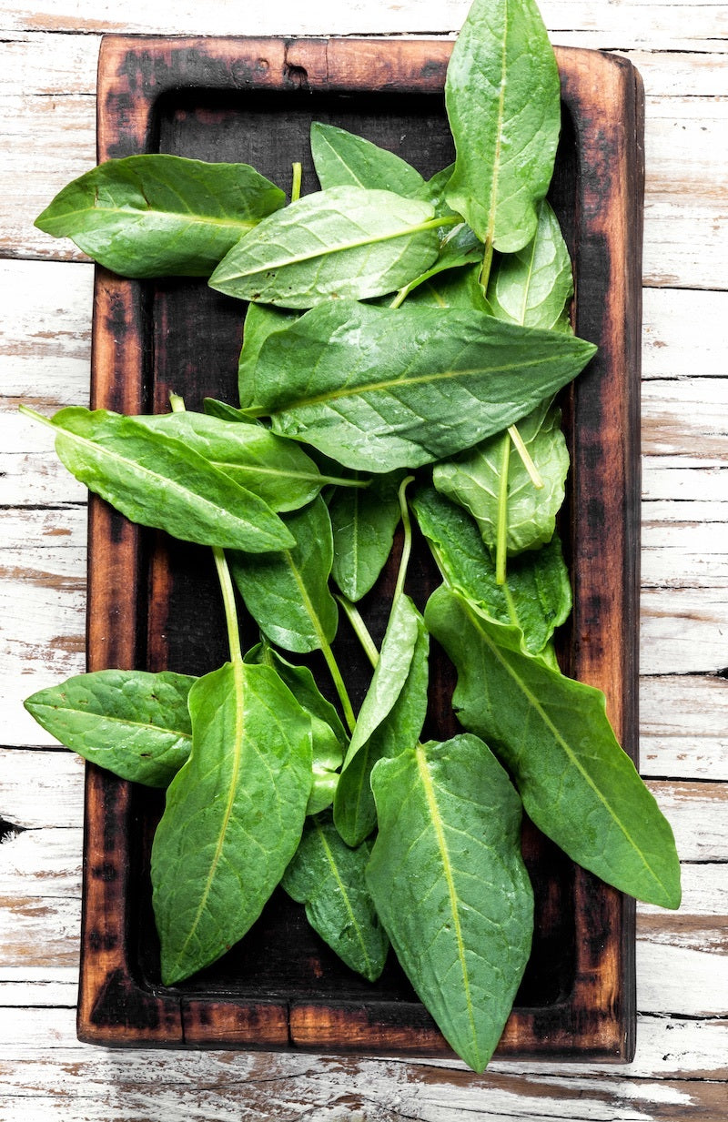 tryptophan spinach