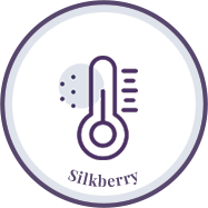 Silkberry copy 4.png__PID:7481025b-0748-4cf2-a1c5-8362c1204c3e