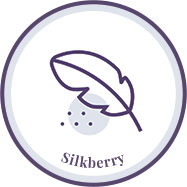 Silkberry copy 7.png__PID:5b0748ac-f2e1-4583-a2c1-204c3e6ab621