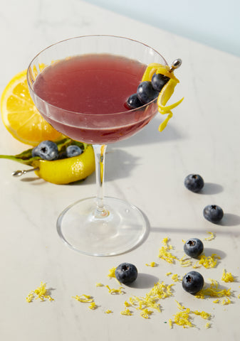 Mixicles Blueberry Lemon Basil Daiquiri