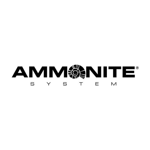 Ammonite