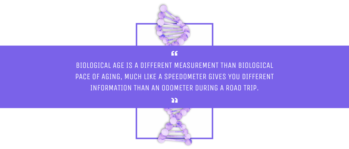 Biological Age is a different measurement than biological pace of aging, much like a speedometer gives you different information than an odometer during a road trip.
