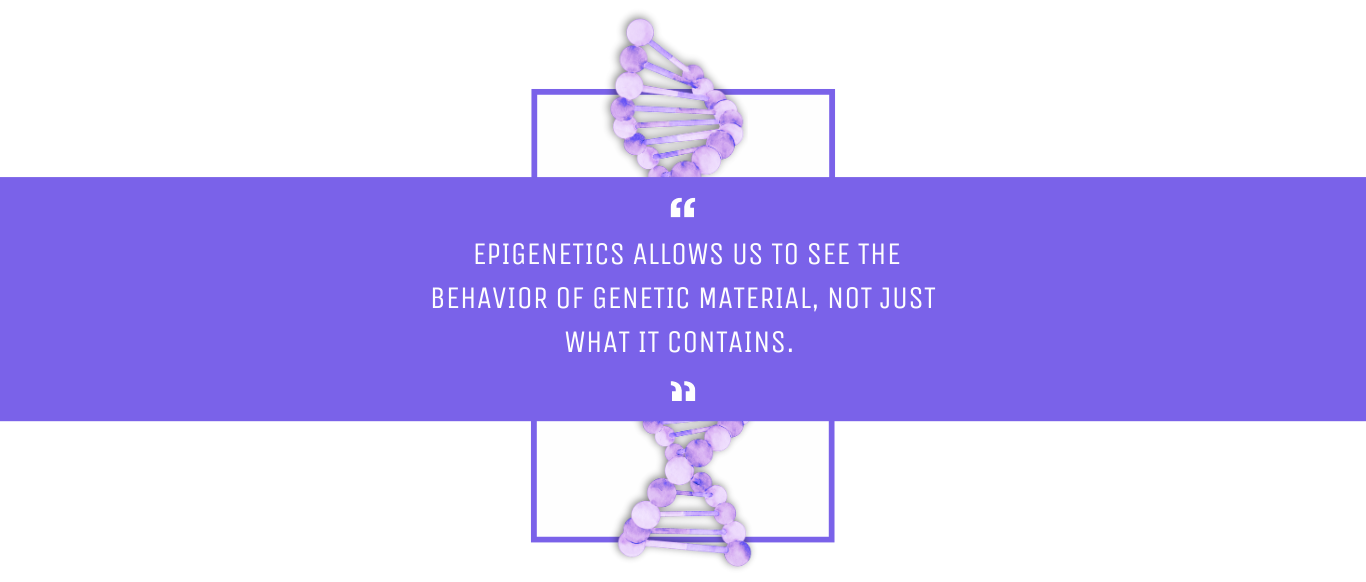 Epigenetics allows us to see the behavior of genetic material
