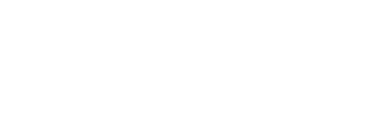 Spkies