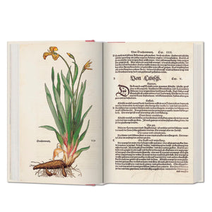 Leonhart Fuchs: The New Herbal XL I Taschen – Bless Stories