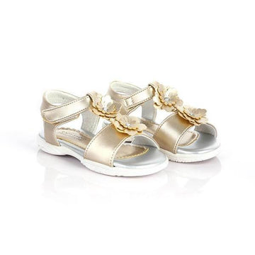 Baby shoes golden hi-res stock photography and images - Alamy