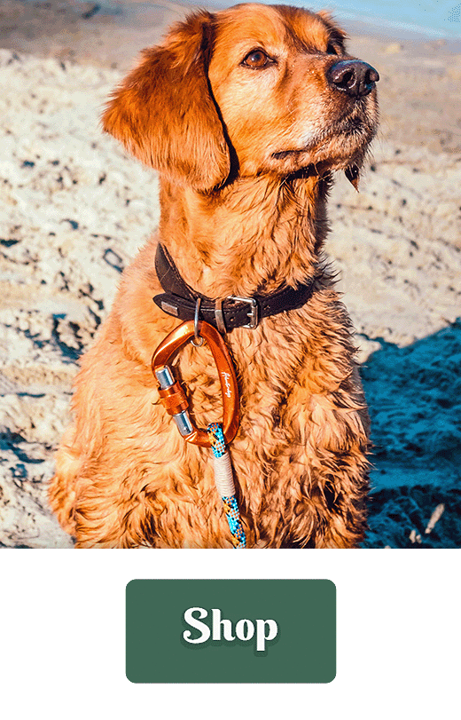 Adventure Dog Outdoor Leashes