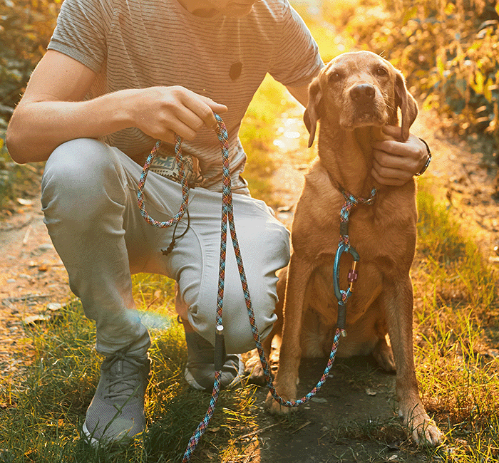 Carabiner dog leash with thick rope