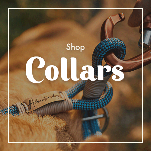 Durable dog collars