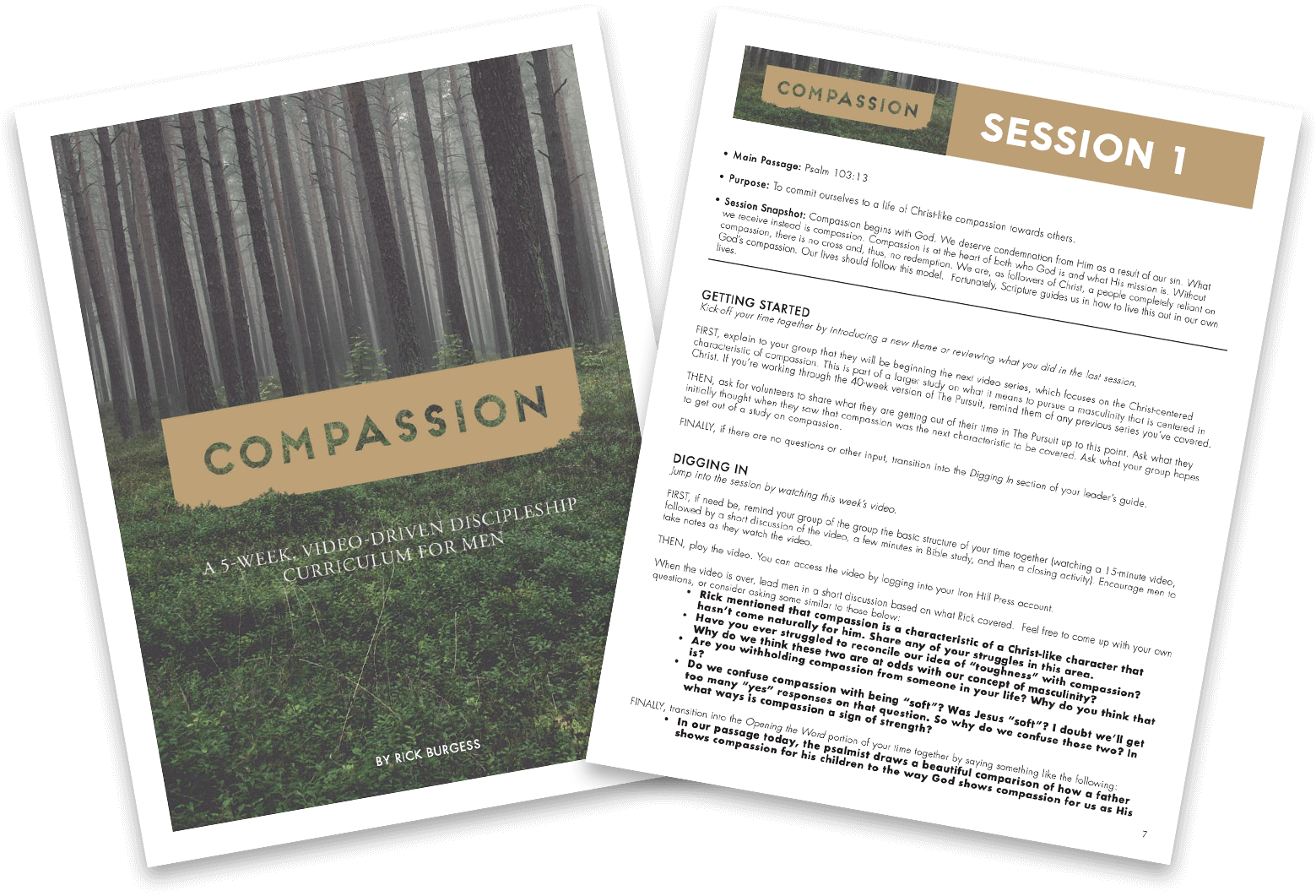 Compassion Sample