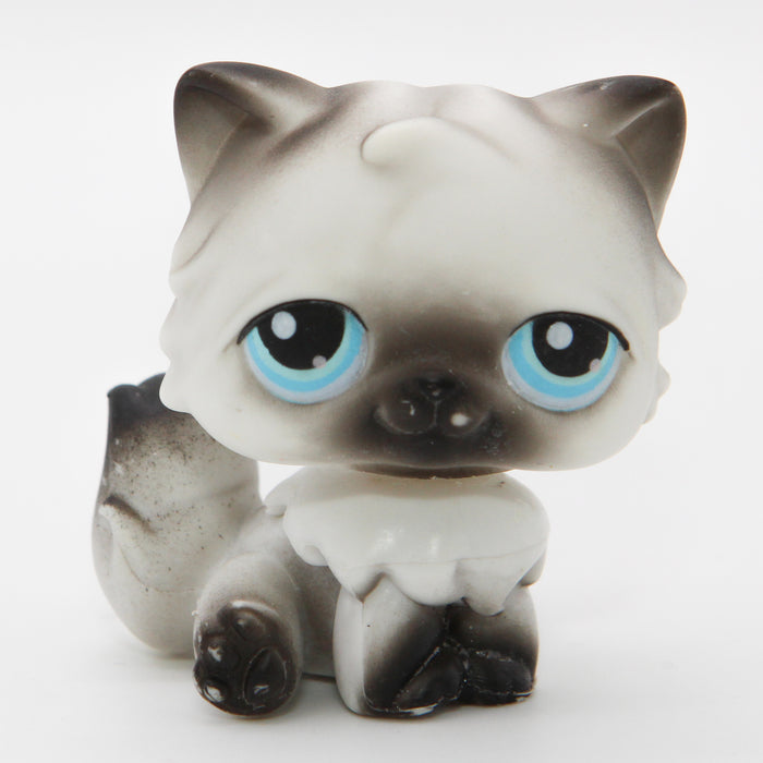 Littlest Petshop Kissa #60— Elli Madelli