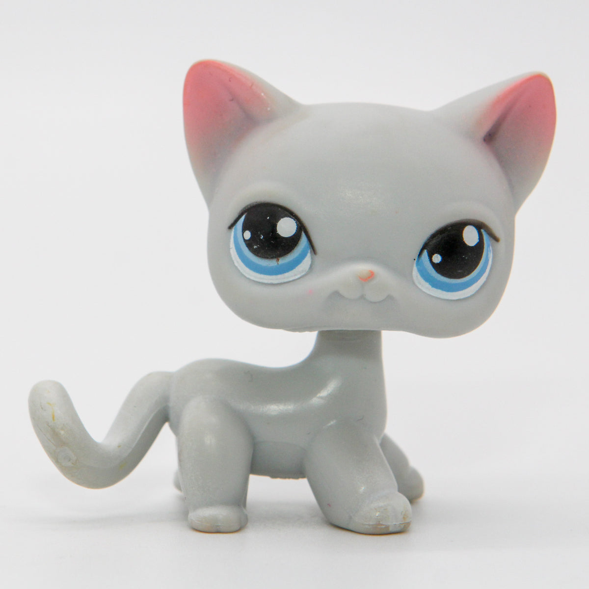 Littlest Petshop seisova Kissa #246— Elli Madelli