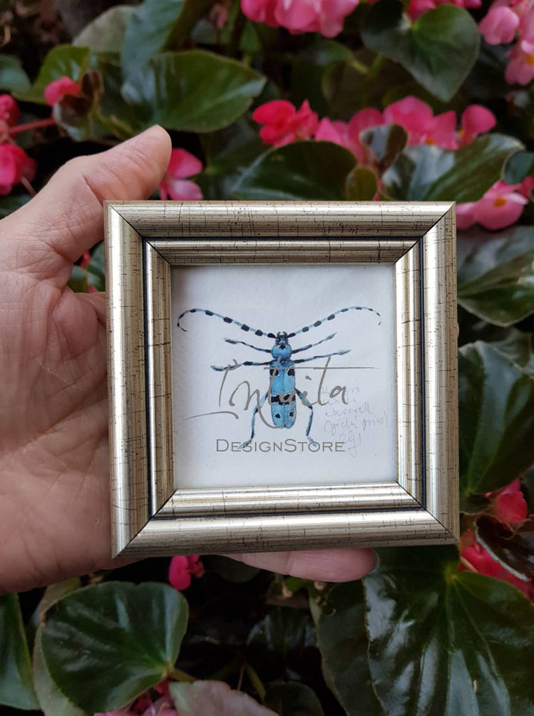 framed watercolor insect giclée print for Christmas in Intuita