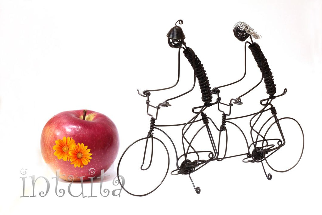 tandem bike wire couple figurine Valentine's Gift in Intuita