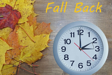 A daylight saving time image with colourful autumn leaves on the left. Top right reads "Fall Back" and below that is a standard modern clock in white and grey, which shows 3am moving back to 2am.