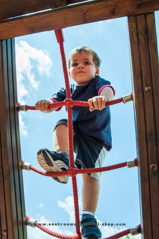 A child climbs up a rope ladder.