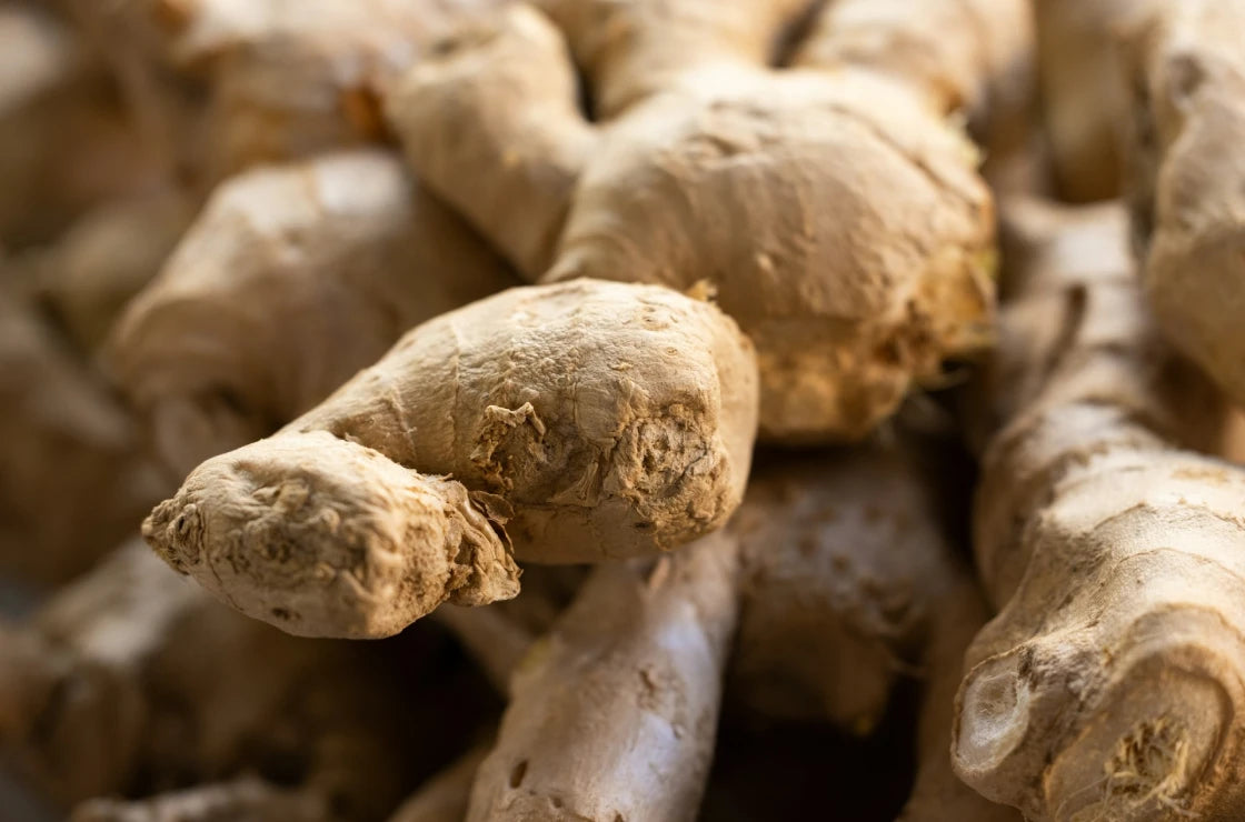 Close-up of fresh ginger root.