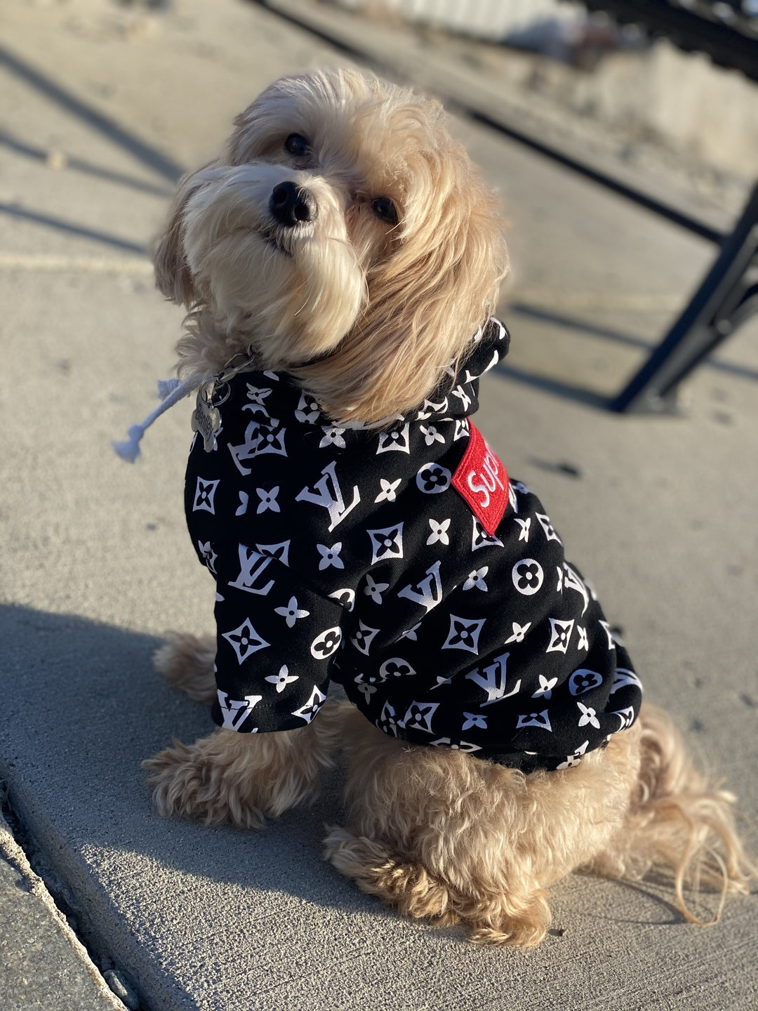 balenciaga dog clothes