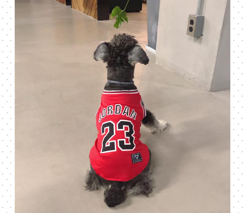 chicago bulls dog jersey