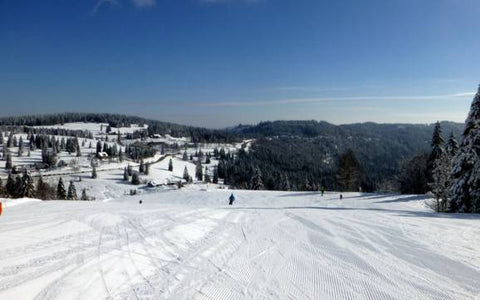 Piste de luge à Todtnau