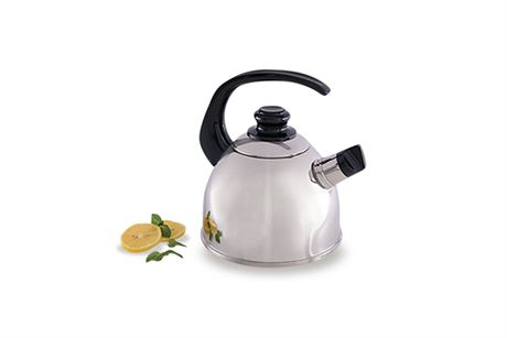 electric whistling tea kettle