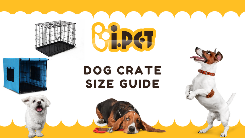 dog kennel size guide