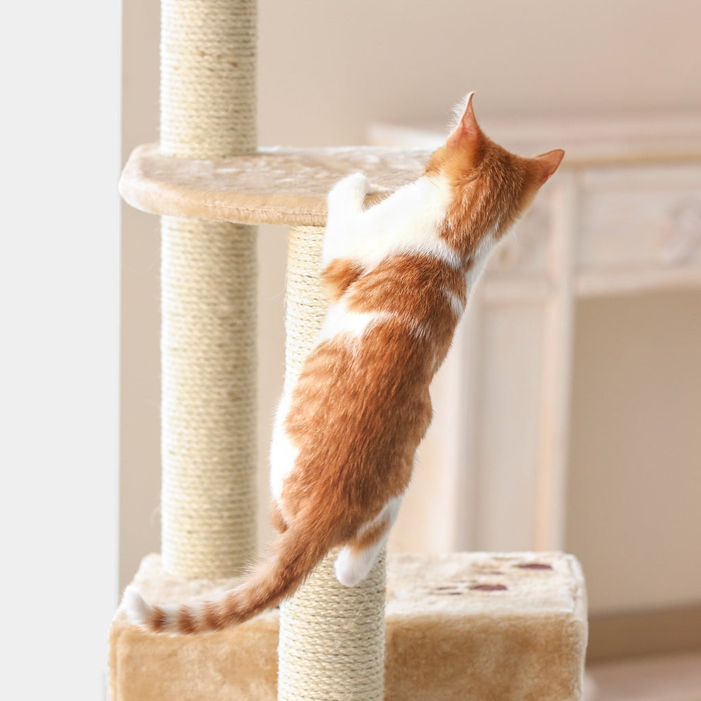 tree scratching post for cats