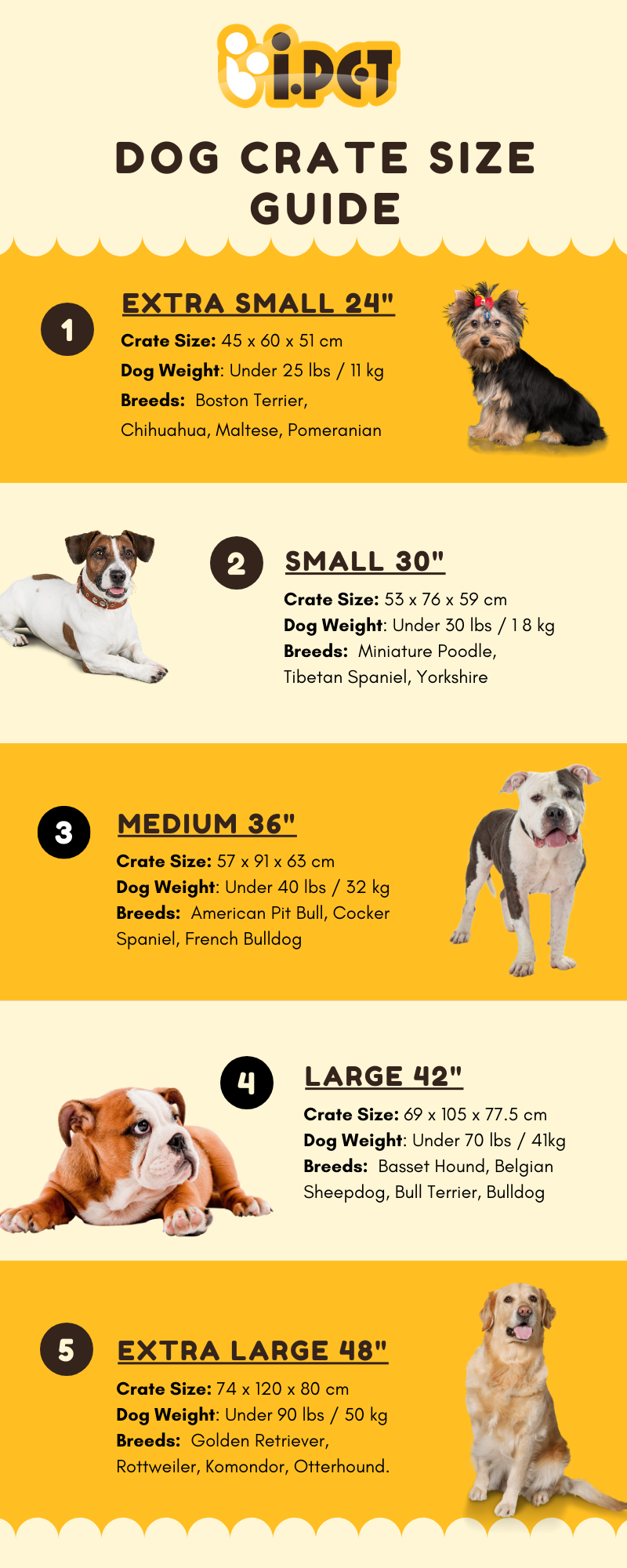 i.Pet Supplies Online Australia Dog Crate Size Guide What Size Dog Cage