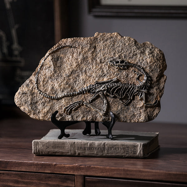 Dinosaur Fossil Sculpture – NEWLOOKTREND
